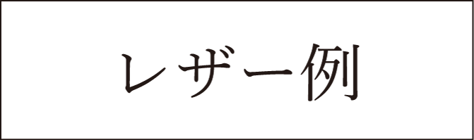 オーダーメイド用レザー例